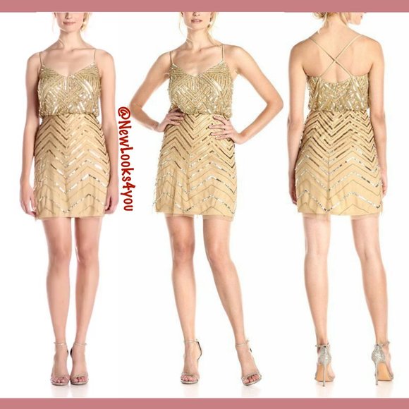 NWT Adrianna Papell Embellished‎ Mesh Blouson Dress - Picture 2 of 12